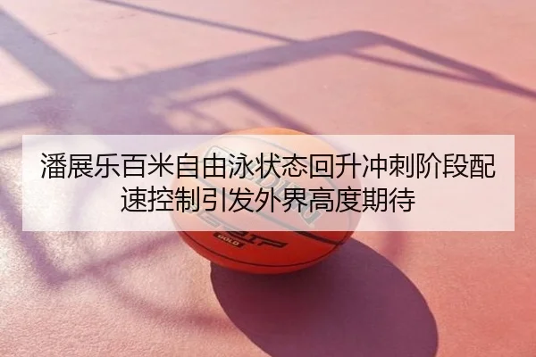 潘展乐百米自由泳状态回升冲刺阶段配速控制引发外界高度期待