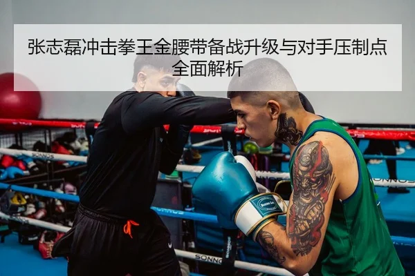 张志磊冲击拳王金腰带备战升级与对手压制点全面解析